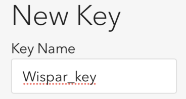Screenshot showing the API key name field